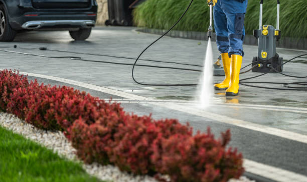 Best Power Washing Near Me  in Greenwood, MS